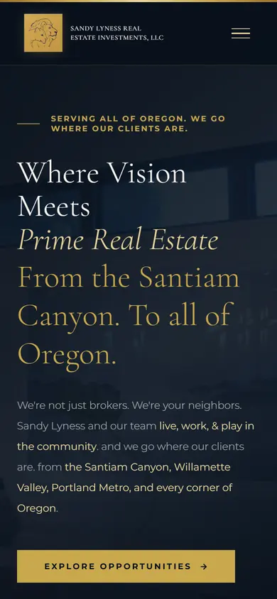 Sandy Lyness Real Estate website on a phone